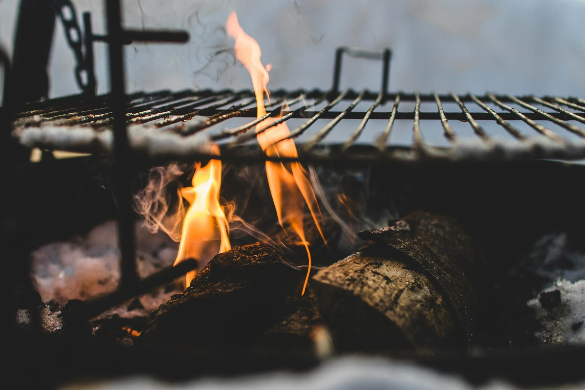 Ved För Grill Och Brasor – Vilken Sort Passar Bäst?