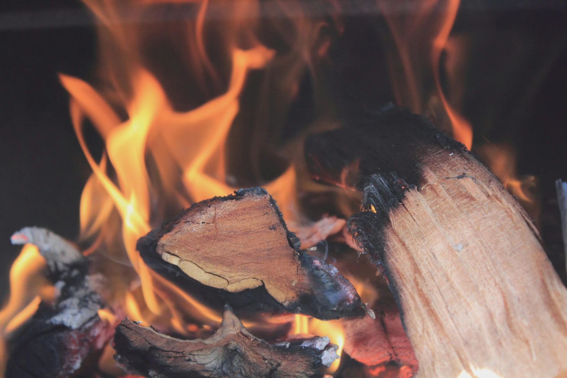 Vilka Vedtyper Passar Bäst För Grill, Bastu Eller Kamin i Stockholm?